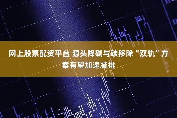 网上股票配资平台 源头降碳与碳移除“双轨”方案有望加速减排