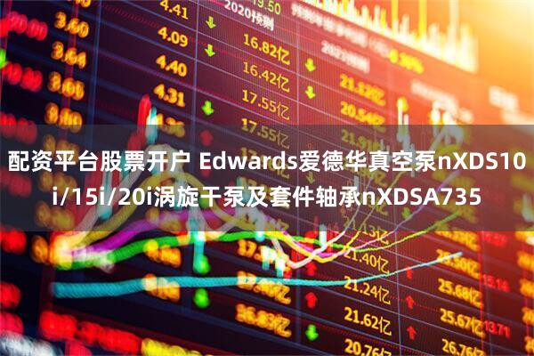 配资平台股票开户 Edwards爱德华真空泵nXDS10i/15i/20i涡旋干泵及套件轴承nXDSA735
